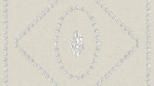 Conchiglie 123/5024