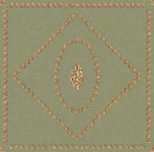 Conchiglie 123/5026