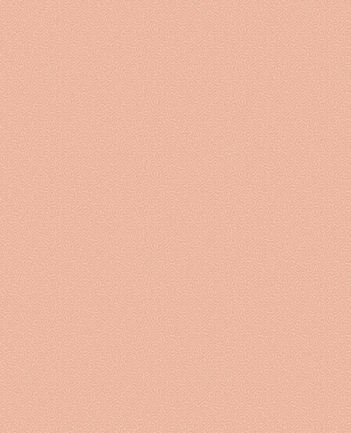 Coral 106/5075
