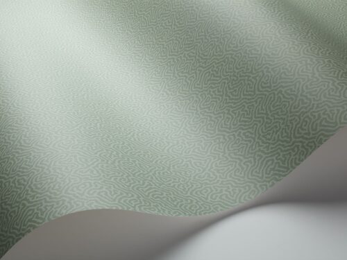 Rollo en detalle Coral 106/5066