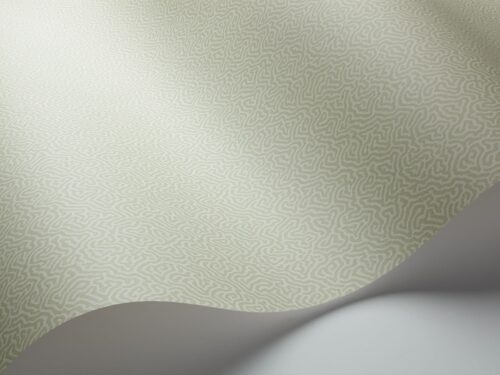 Rollo en detalle Coral 106/5067