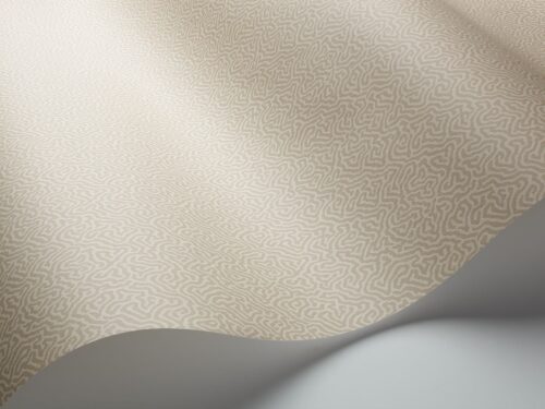Rollo en detalle Coral 106/5070