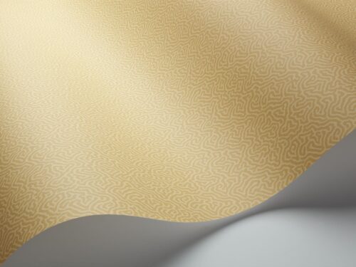 Rollo en detalle Coral 106/5074