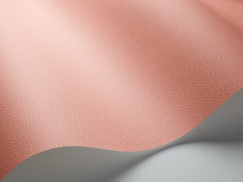Rollo en detalle Coral 106/5075