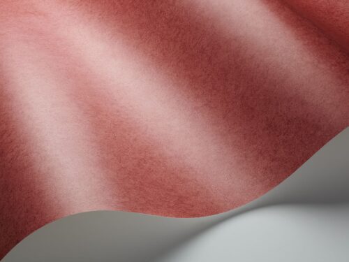 Rollo en detalle Cordovan 106/4056