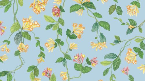 Flora 124/3018