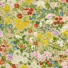 Flora Province 126/8029