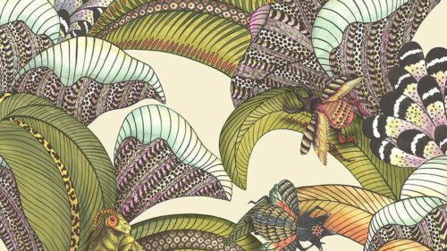 Hoopoe Leaves 119/1001