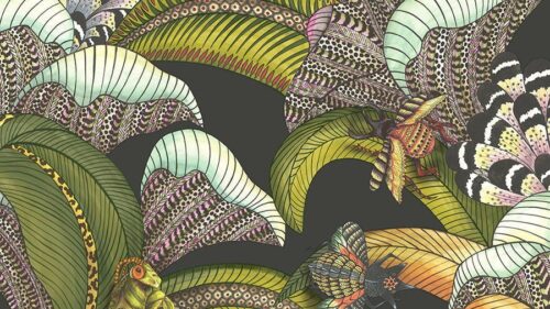 Hoopoe Leaves 119/1002