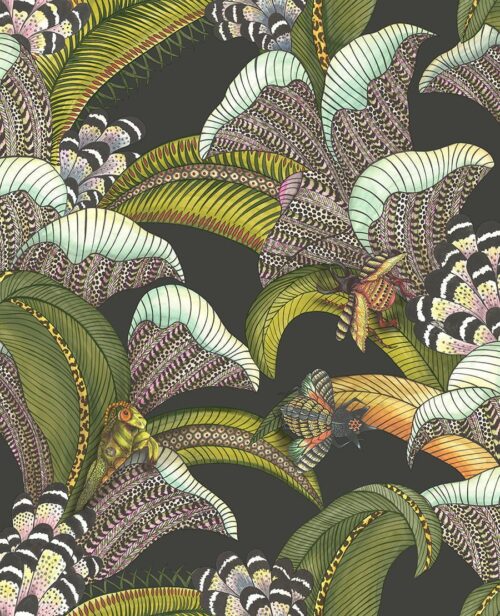 Hoopoe Leaves 119/1002