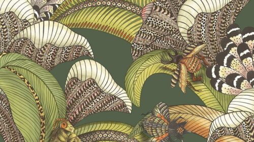 Hoopoe Leaves 119/1003
