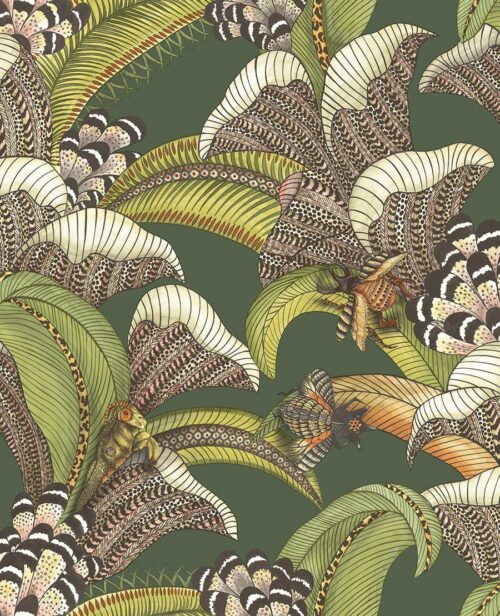 Hoopoe Leaves 119/1003