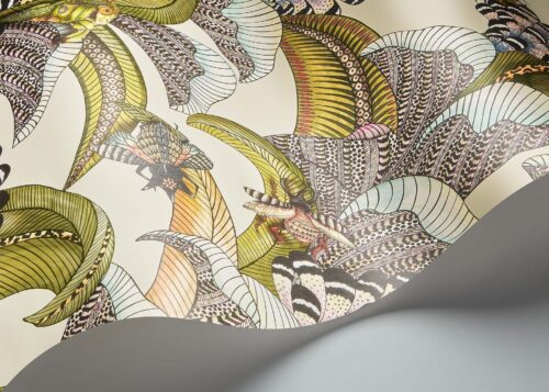 Rollo en detalle Hoopoe Leaves 119/1001