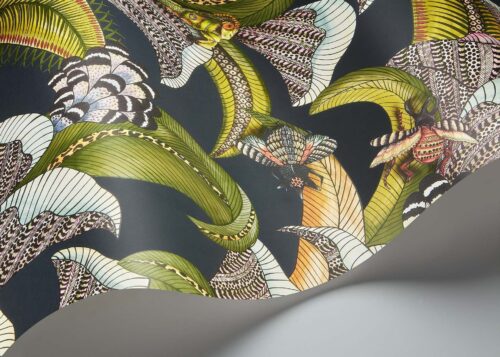 Rollo en detalle Hoopoe Leaves 119/1002