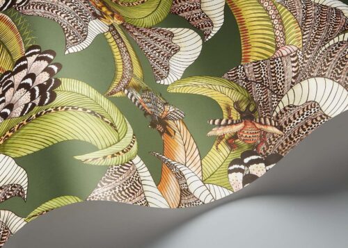 Rollo en detalle Hoopoe Leaves 119/1003