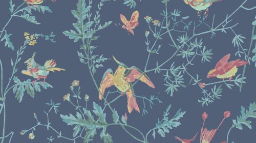 Hummingbirds 100/14068