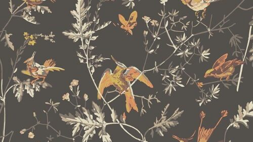 Hummingbirds 112/4017