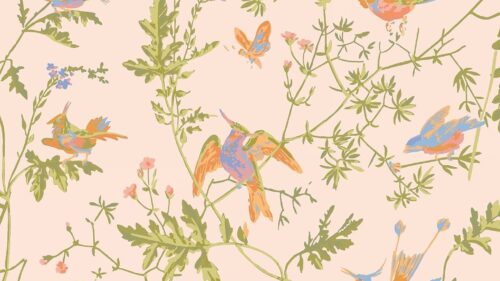Hummingbirds 124/1002