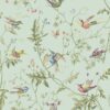 Hummingbirds 124/1007