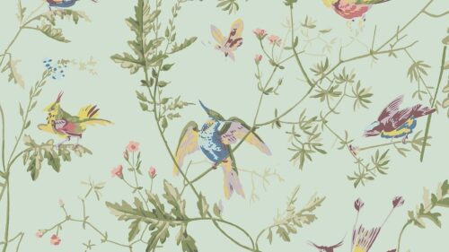 Hummingbirds 124/1007