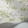 Rollo en detalle Hummingbirds 100/14067