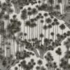Japanese Woods 126/6018