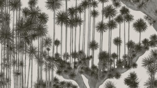 Japanese Woods 126/6018