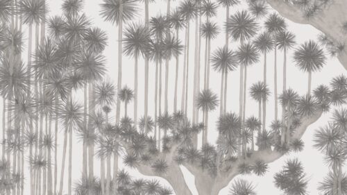 Japanese Woods 126/6019