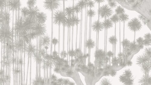 Japanese Woods 126/6020