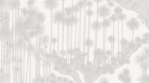 Japanese Woods 126/6021