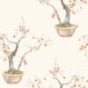 Kaki Persimmon 126/2003