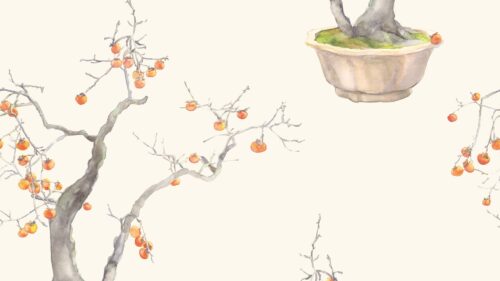 Kaki Persimmon 126/2003