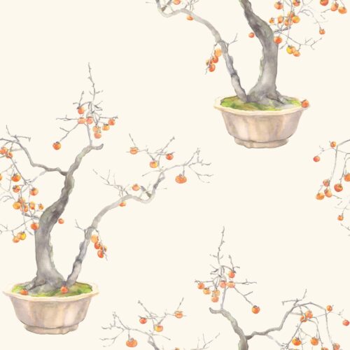 Kaki Persimmon 126/2003