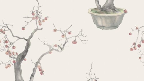 Kaki Persimmon 126/2004