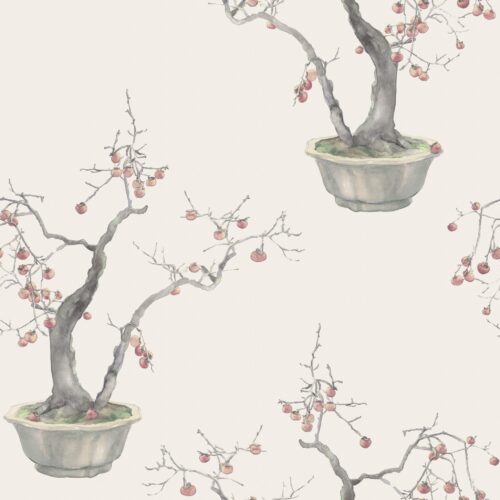 Kaki Persimmon 126/2004