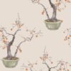 Kaki Persimmon 126/2005