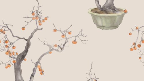 Kaki Persimmon 126/2005
