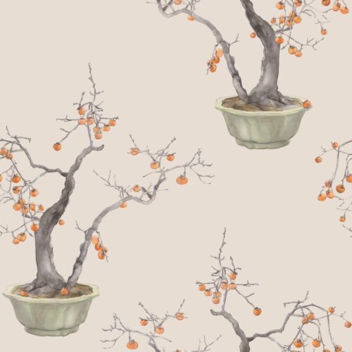 Kaki Persimmon 126/2005