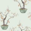 Kaki Persimmon 126/2006