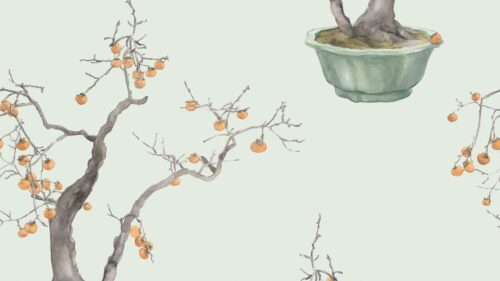 Kaki Persimmon 126/2006