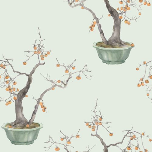 Kaki Persimmon 126/2006