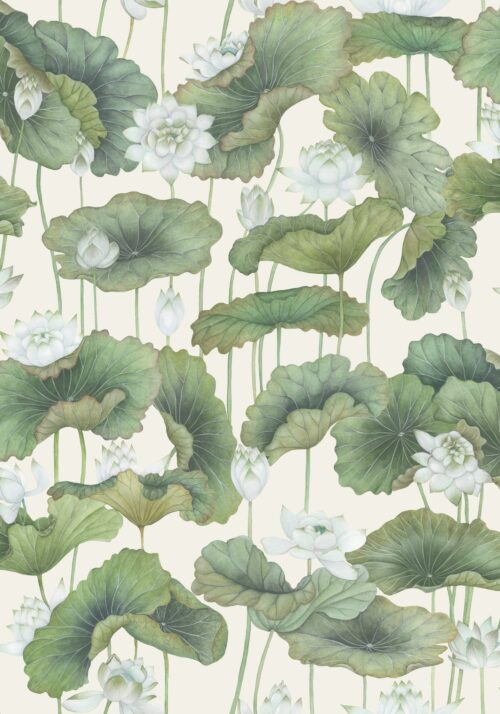 Lily Lotus 126/9034
