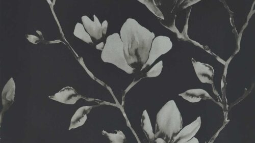 Lotus 112602 Lotus 112602