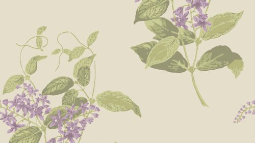 Madras Violet 100/12056