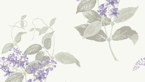 Madras Violet 100/12057