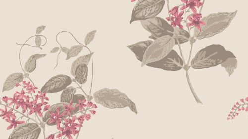 Madras Violet 100/12058
