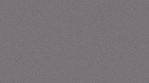 Pebble 106/2015