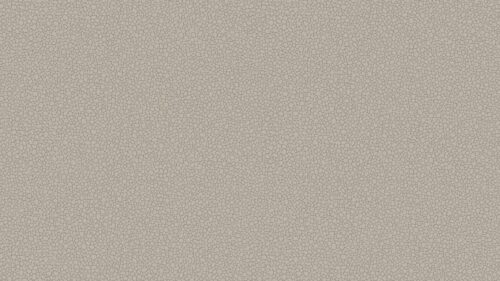 Pebble 106/2016