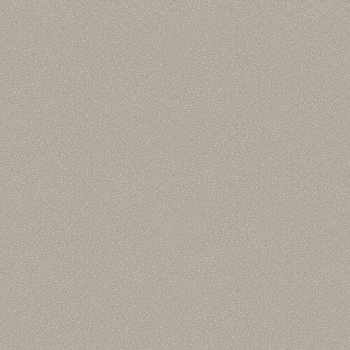 Pebble 106/2016