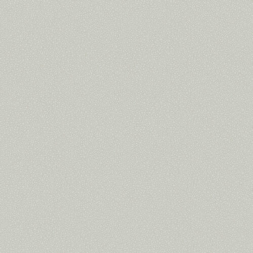 Pebble 106/2017